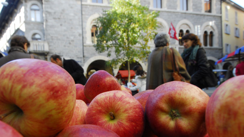 Bellinzona's Market