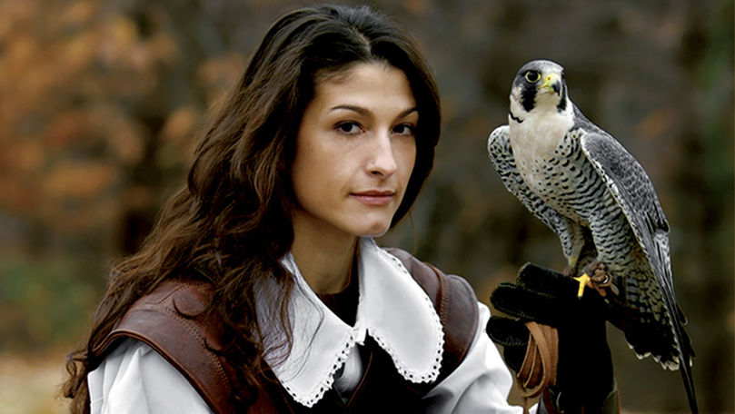Falconry