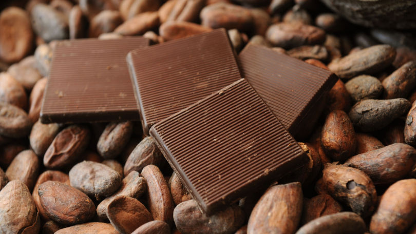 Chocolate Experience