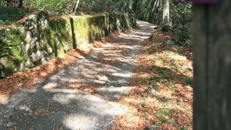 6,000 Years of History in 3D