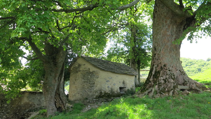 Ethnographic Museums