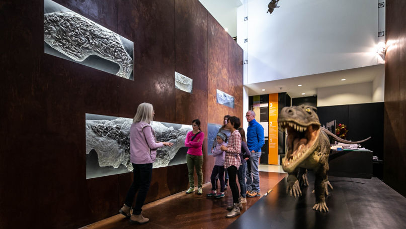 Museum of Fossils Monte San Giorgio