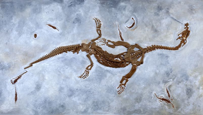 Museum of Fossils Monte San Giorgio