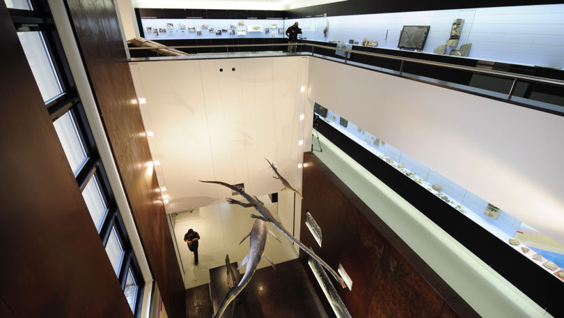 Museum of Fossils Monte San Giorgio