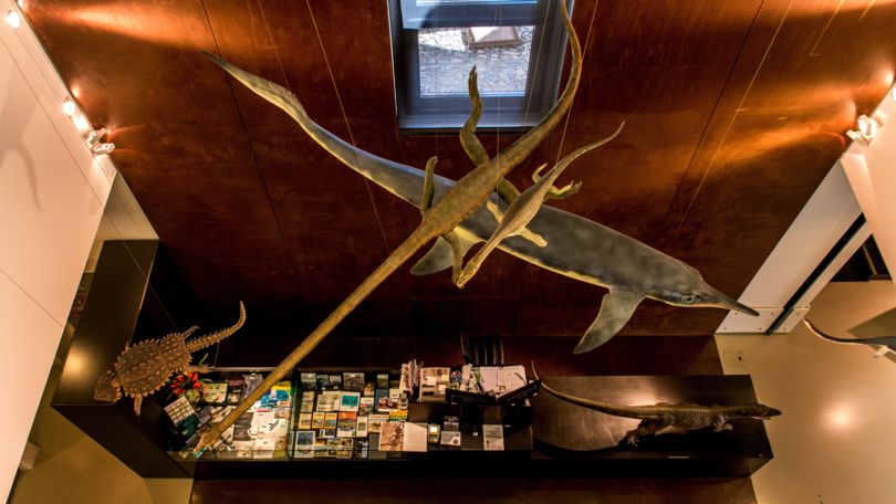 Museum of Fossils Monte San Giorgio