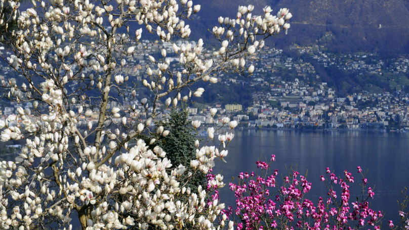 Botanical Park Gambarogno