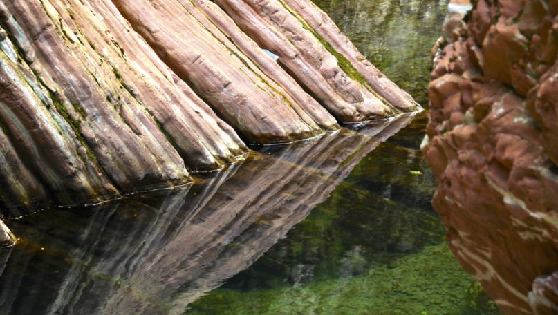 Park of the Breggia Gorge