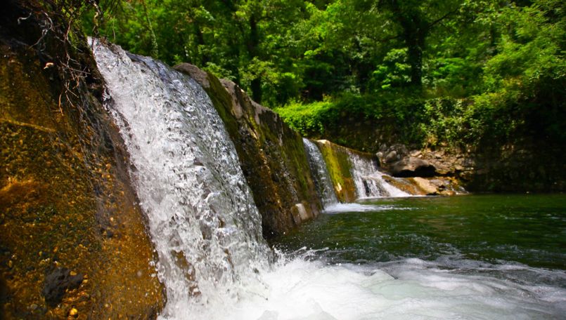 Park of the Breggia Gorge