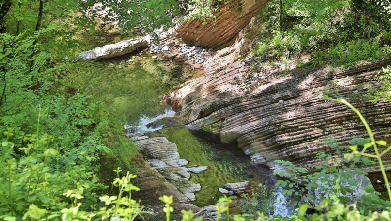 Park of the Breggia Gorge