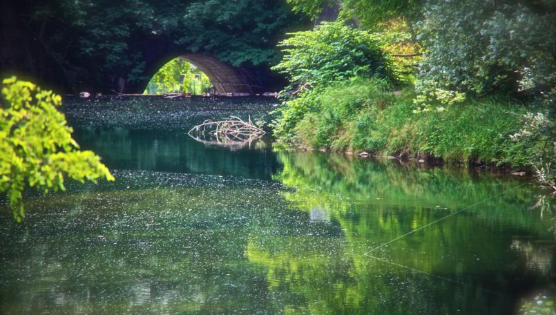 Park of the Breggia Gorge