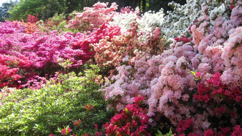 Gardens of Villa Taranto