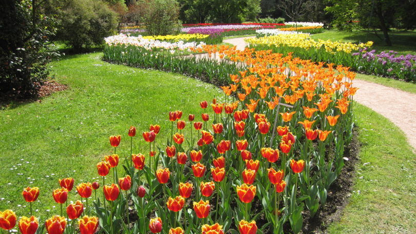 Gardens of Villa Taranto