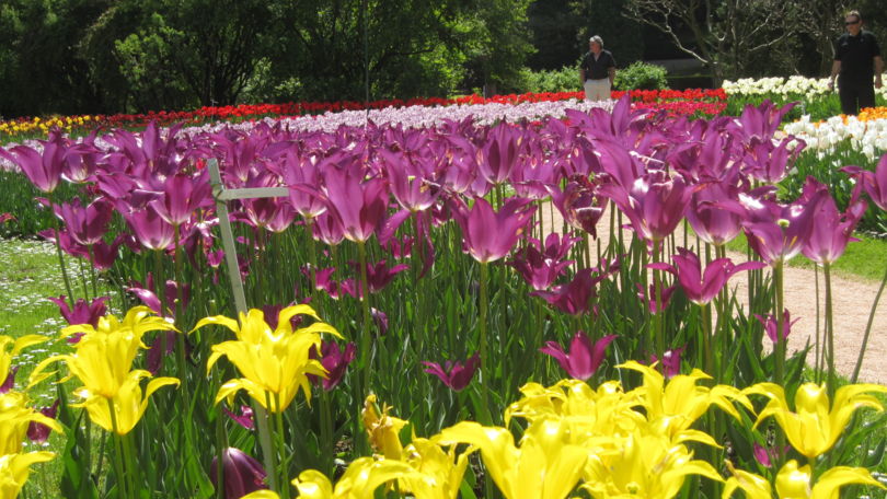 Gardens of Villa Taranto
