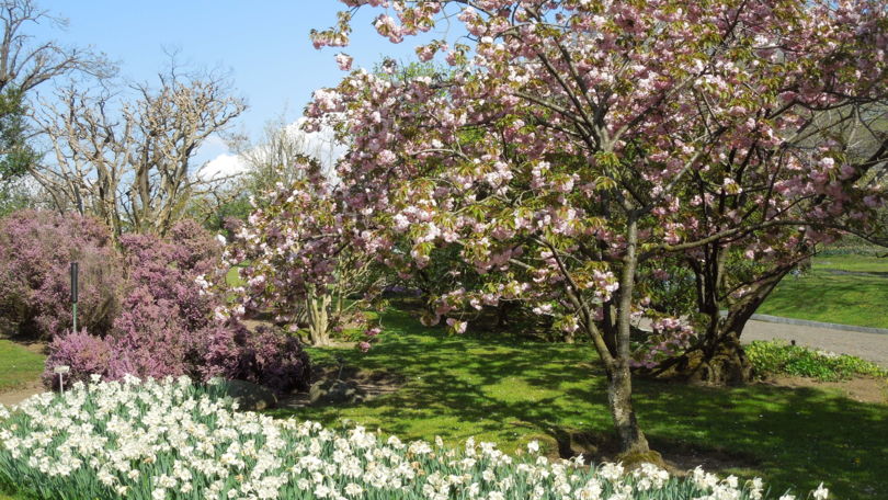 Gardens of Villa Taranto