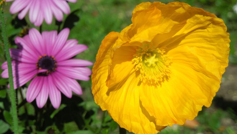 Gardens of Villa Taranto