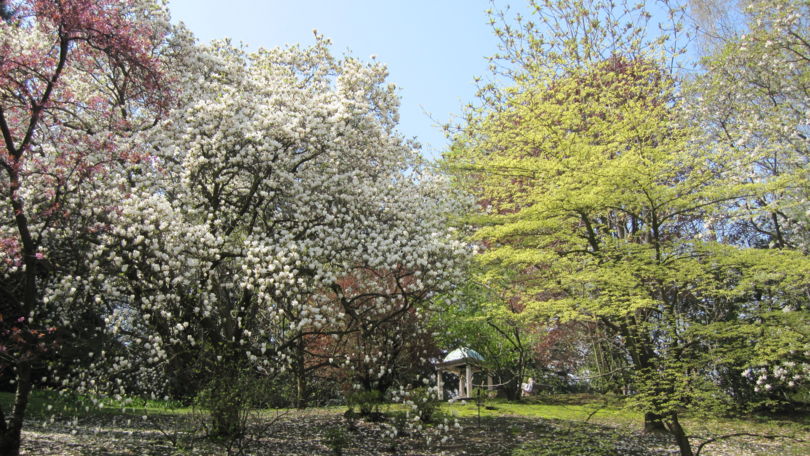 Gardens of Villa Taranto
