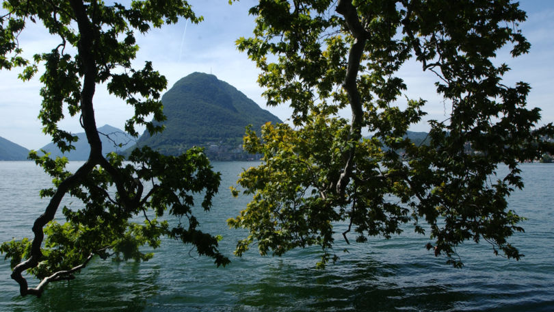 Parco Ciani