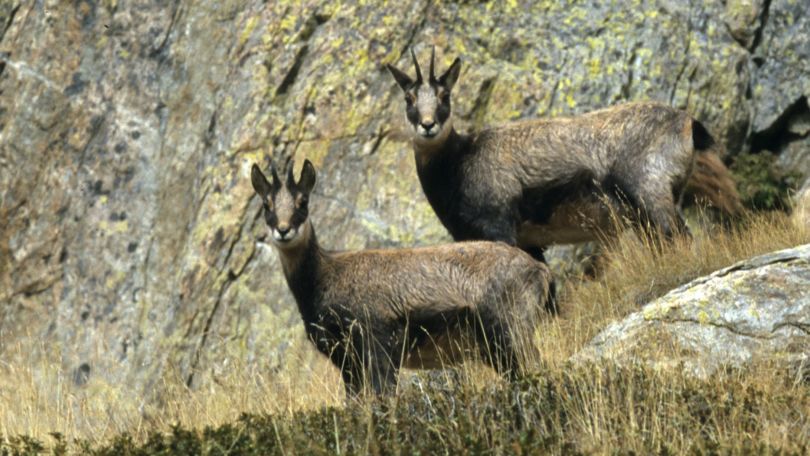 Lucomagno Pro Natura Centre