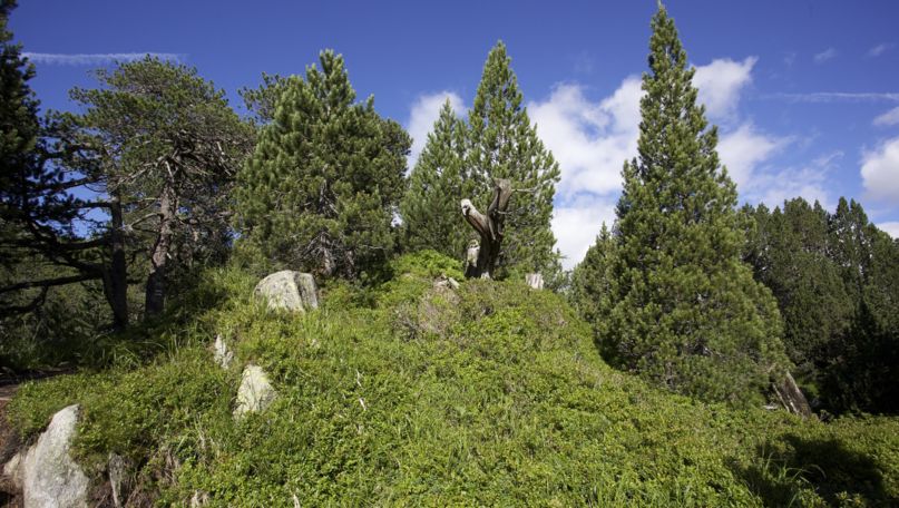 Lucomagno Pro Natura Centre