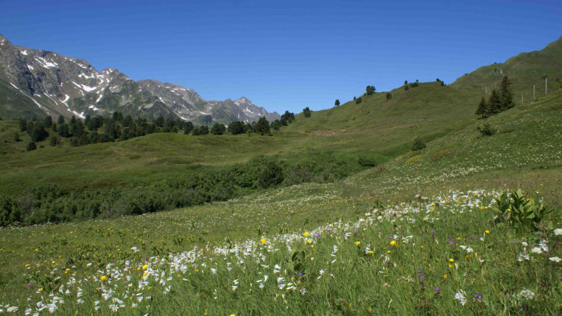 Lucomagno Pro Natura Centre