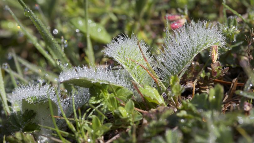 Lucomagno Pro Natura Centre