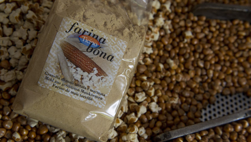 Farina Bóna