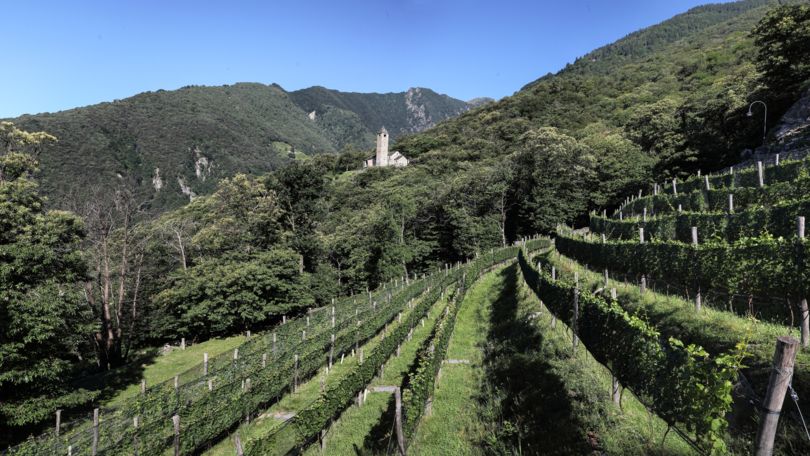 Tibetan Bridge of Curzutt