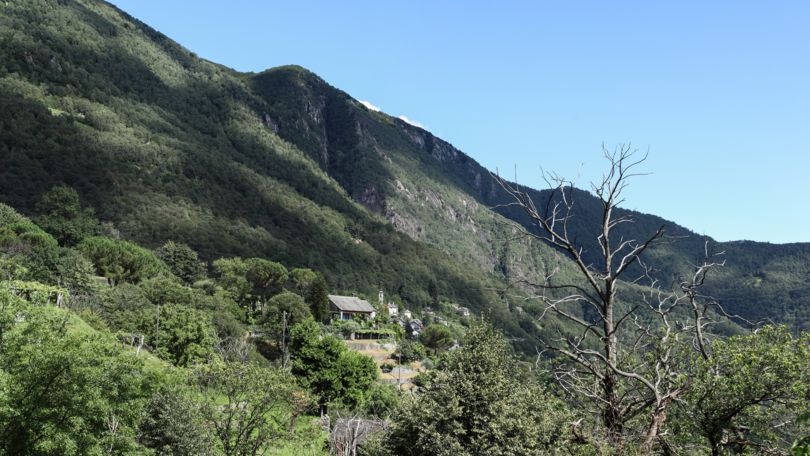 Intragna-Loco Mule Path