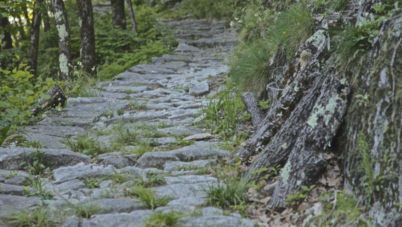 Intragna-Loco Mule Path