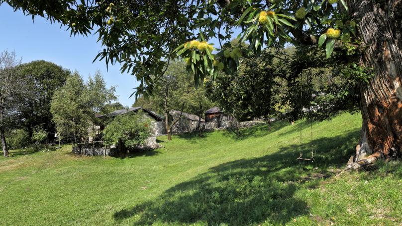 Mounts of Gambarogno