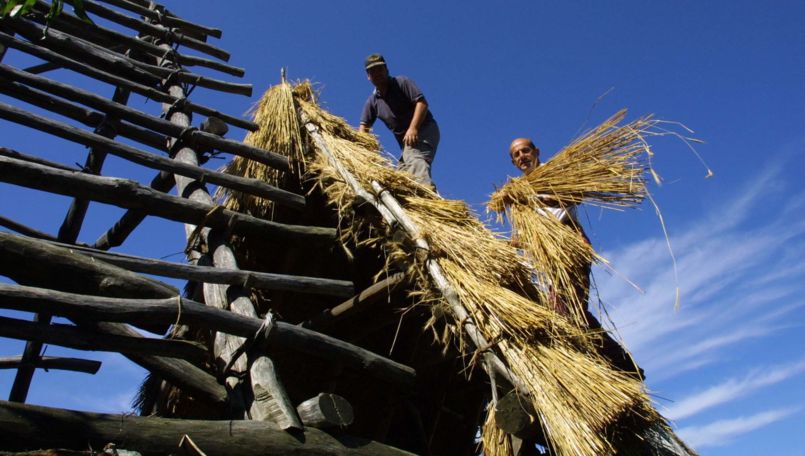 Mounts of Gambarogno