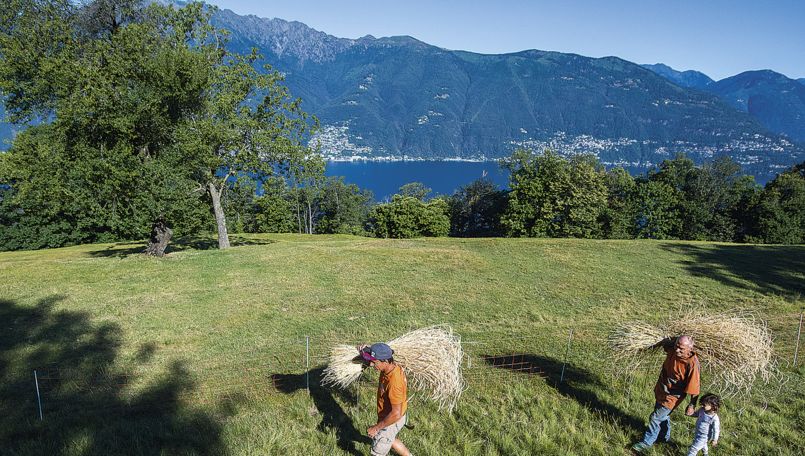 Mounts of Gambarogno