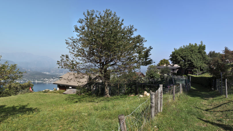 Mounts of Gambarogno