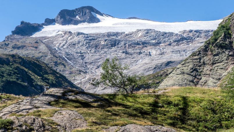 Robiei Glaciological Trail