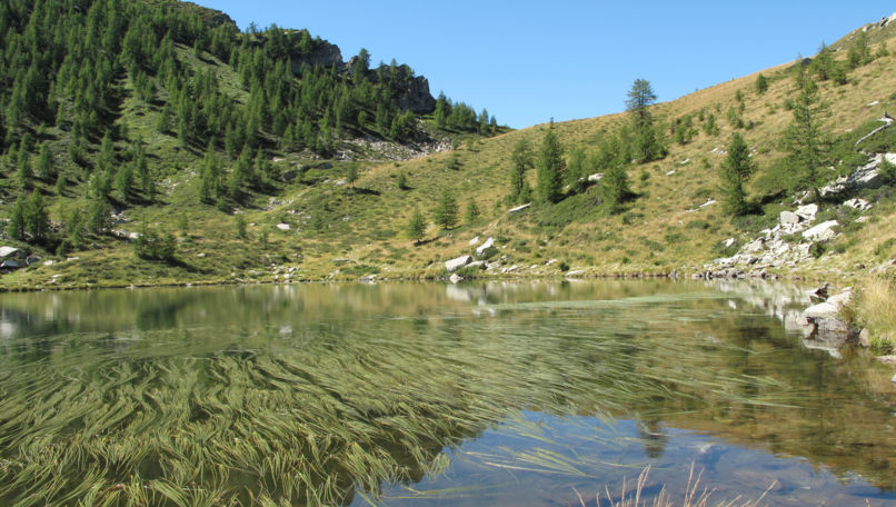 Salei and Onsernone Valley