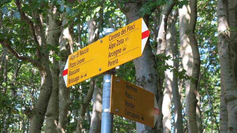 Ronco s/Ascona - Pizzo Leone