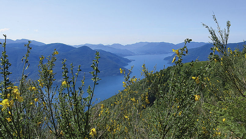 Ronco s/Ascona - Pizzo Leone