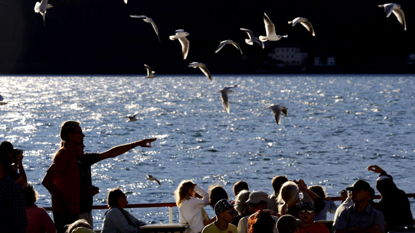 Cruises on Lake Lugano
