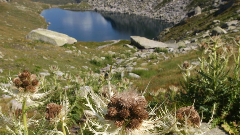 Lakes of St. Gotthard