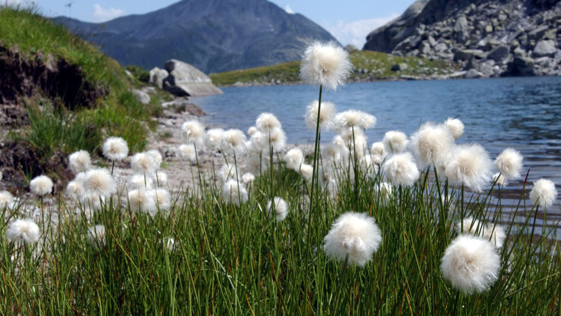 Lakes of St. Gotthard